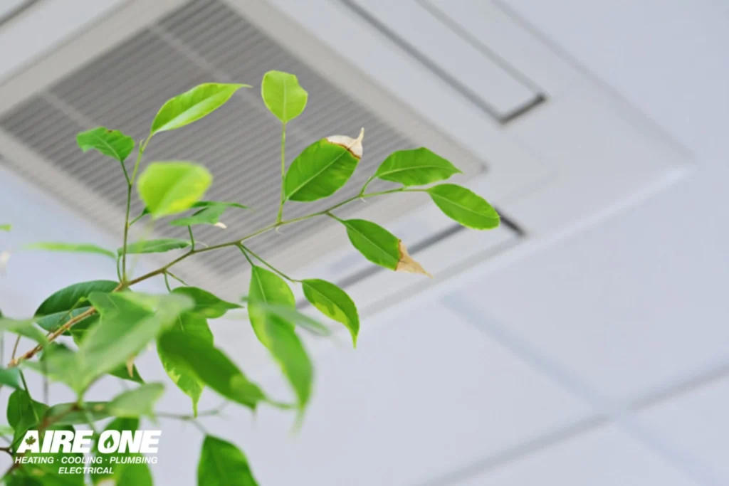 Things to Know About Healthy Indoor Air