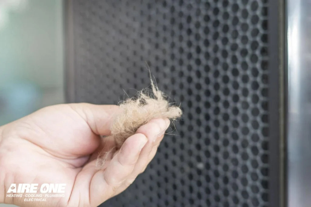 How to Prevent Pet Hair from Clogging Your HVAC System