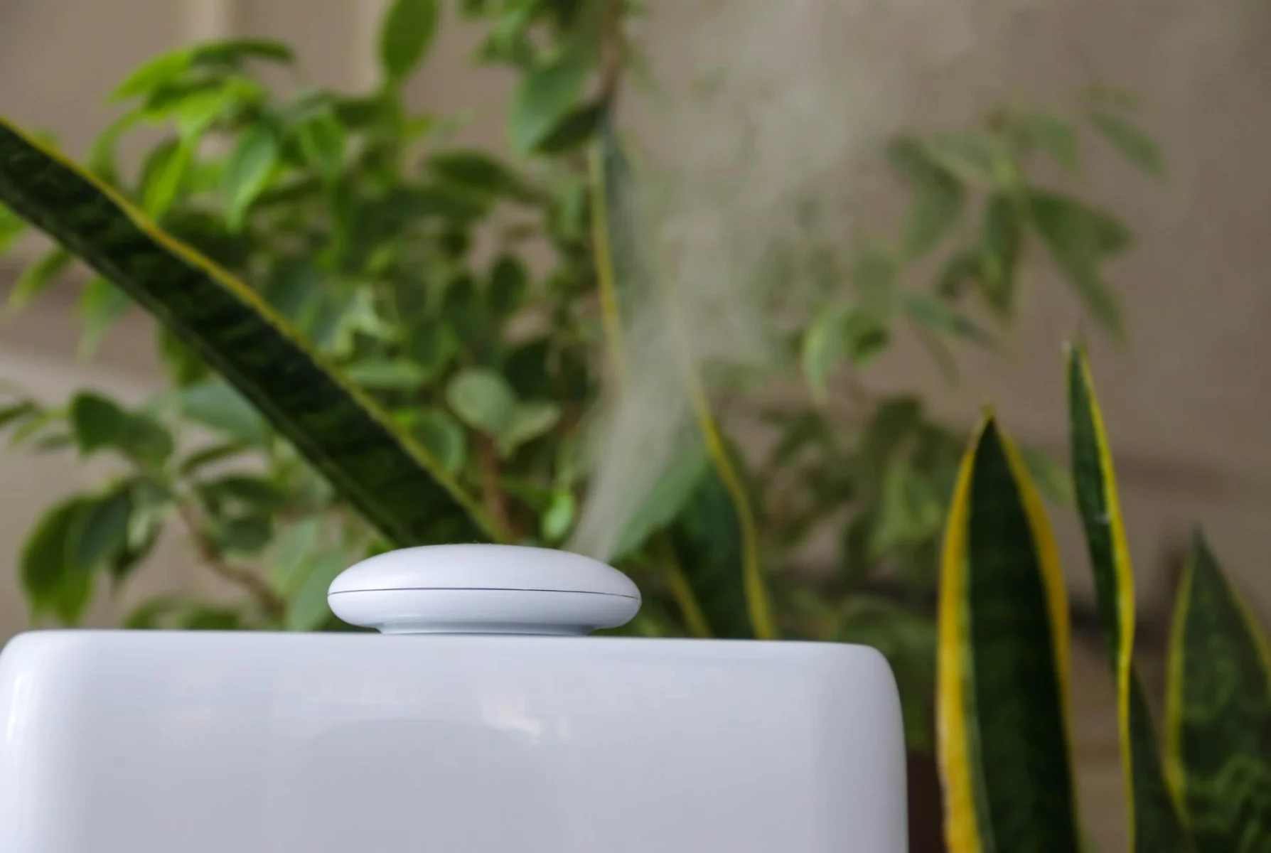 Indoor Air Quality
