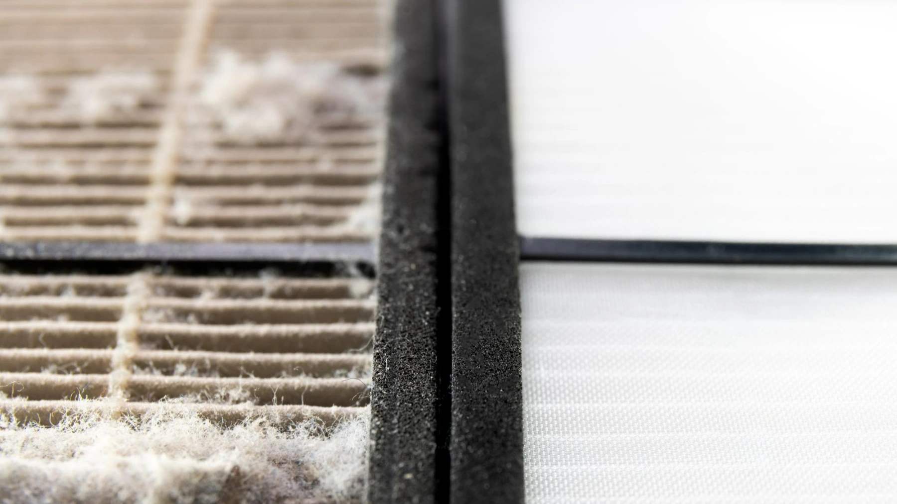 Excessive Dust Buildup